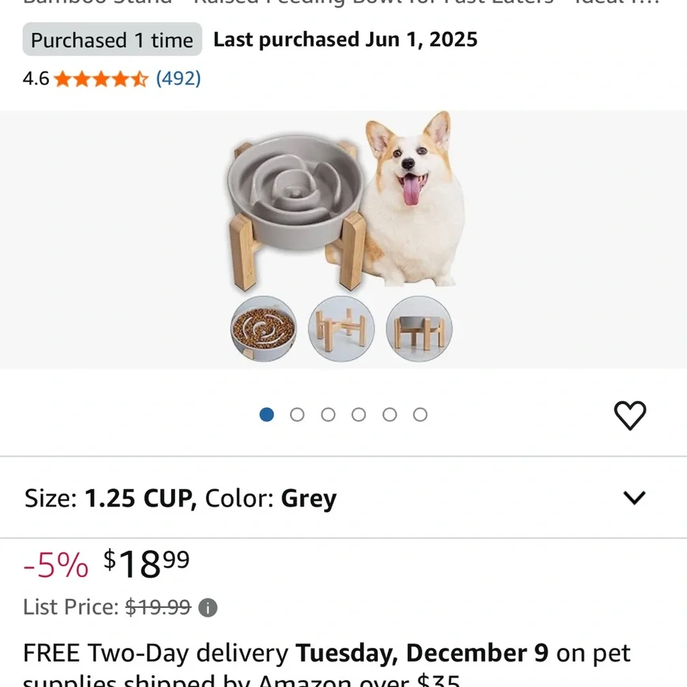 Gray Dog Bowl with Wooden Stand